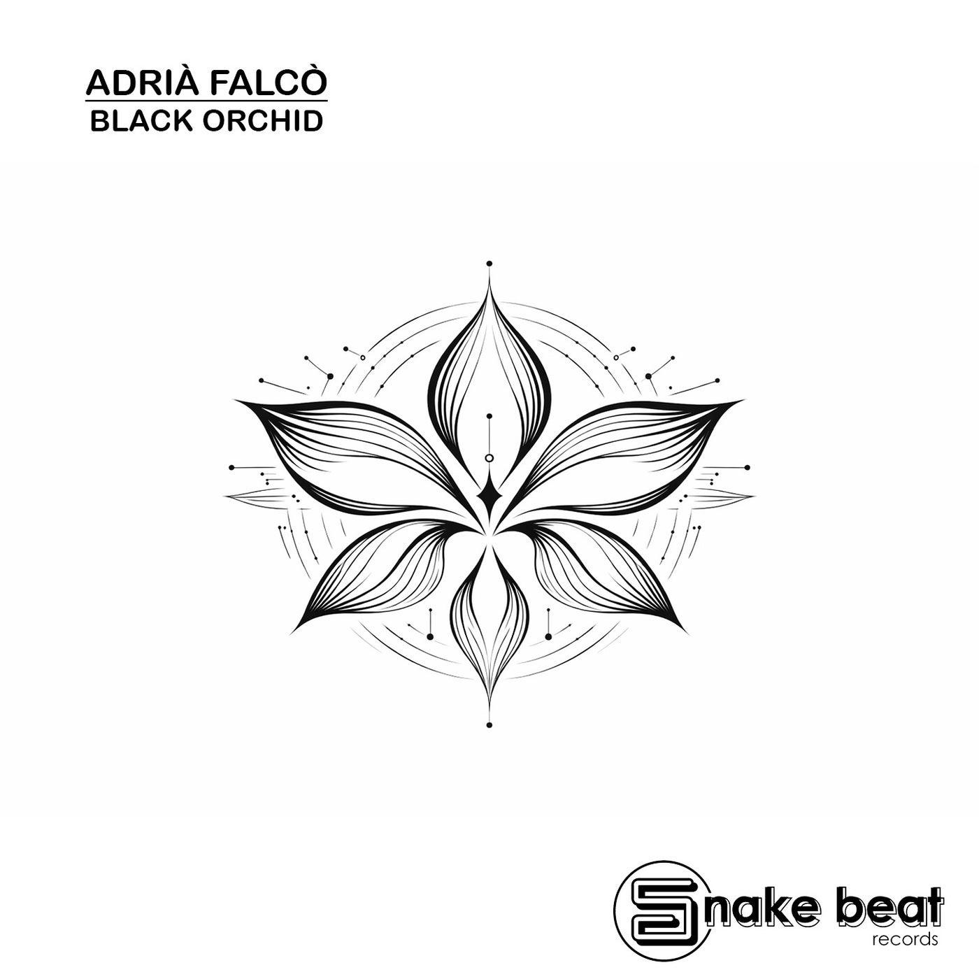 Black Orchid EP - Adrià Falcó