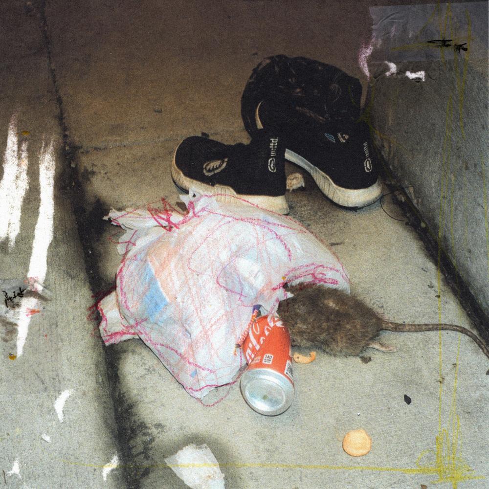 Profit - Ivy Lab