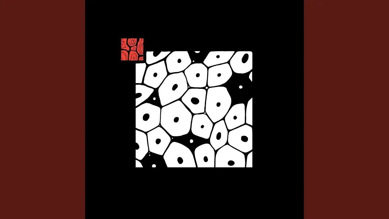 Fragments Of Darkness [HNL026] - Owl