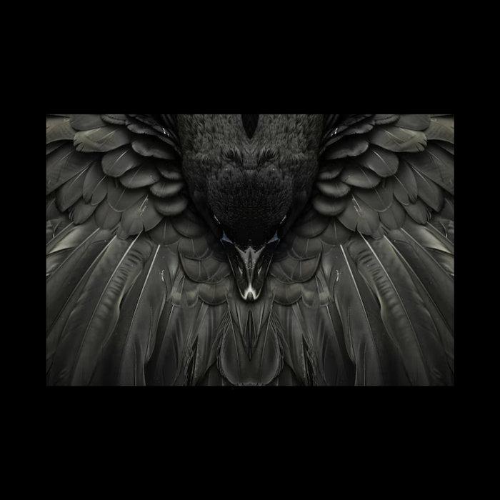 Resistance - yin yang audio