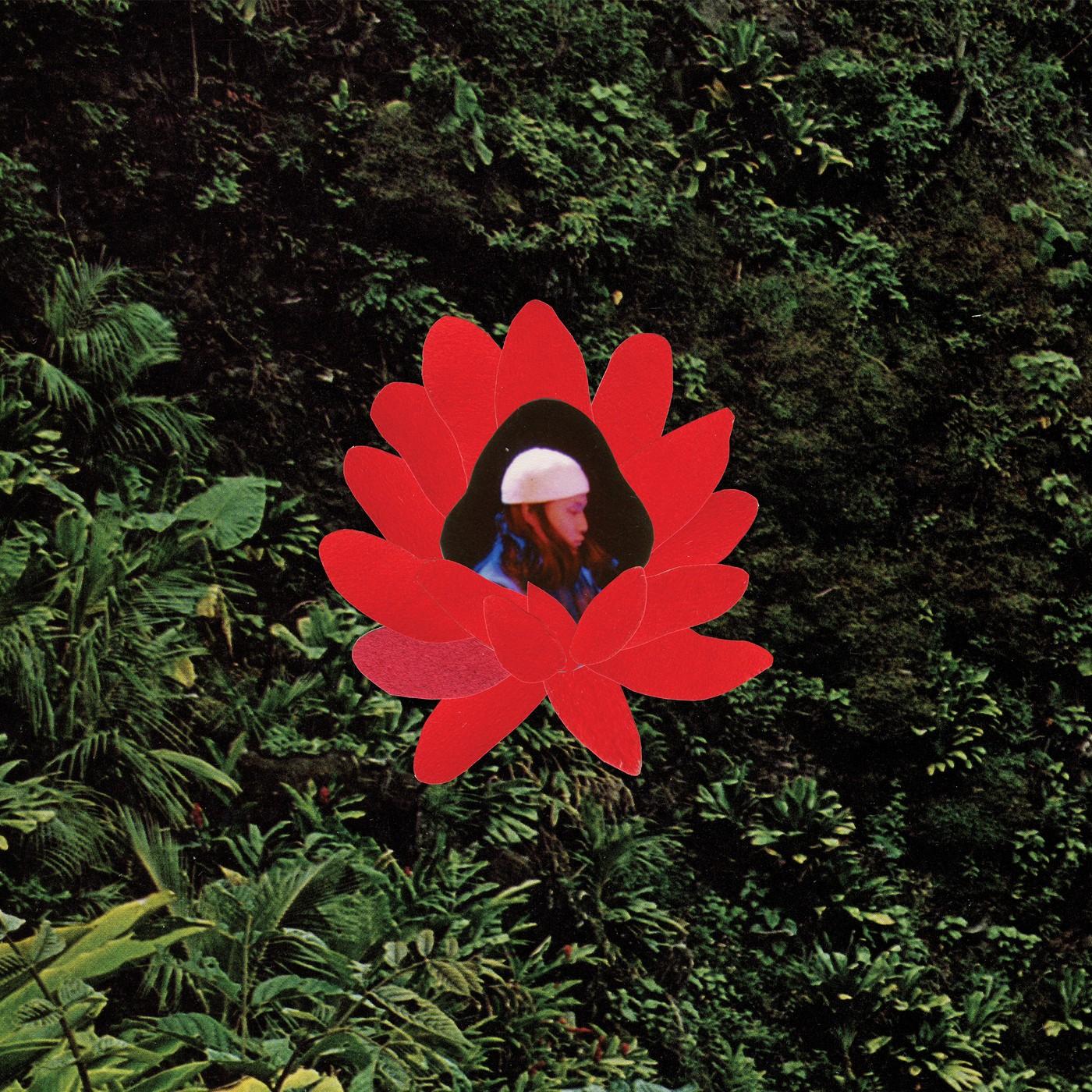WHEN THE FLOWERS BLOOM - Lionmilk