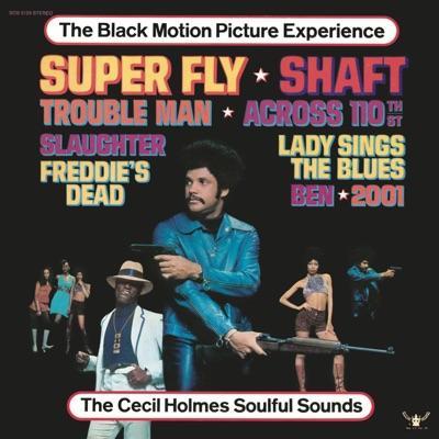 The Black Motion Picture Experience - The Cecil Holmes Soulful Sounds