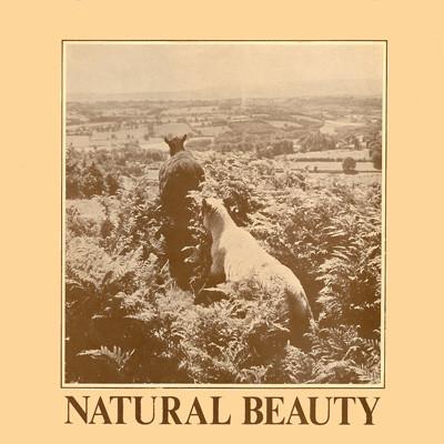 Natural Beauty - The International Studio Orchestra