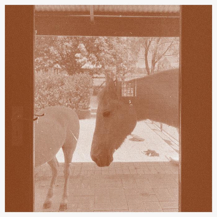 Country/The Country - J.WLSN & Liam Keenan