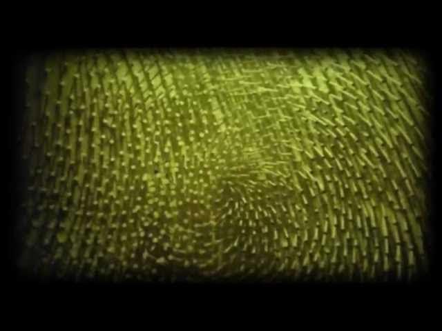  - The Silver Apples