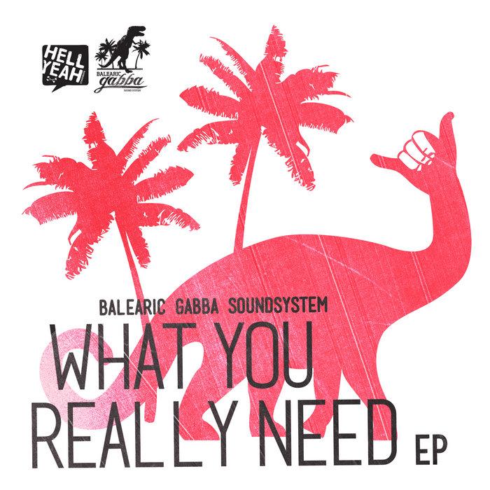 What You Really Need EP - Soft House Company