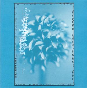 The Cry - Placid Angles