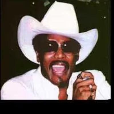 Dill Pickle And A Peppermint Stick - Vernon Garrett