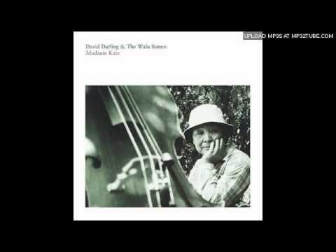 Unknown - David Darling