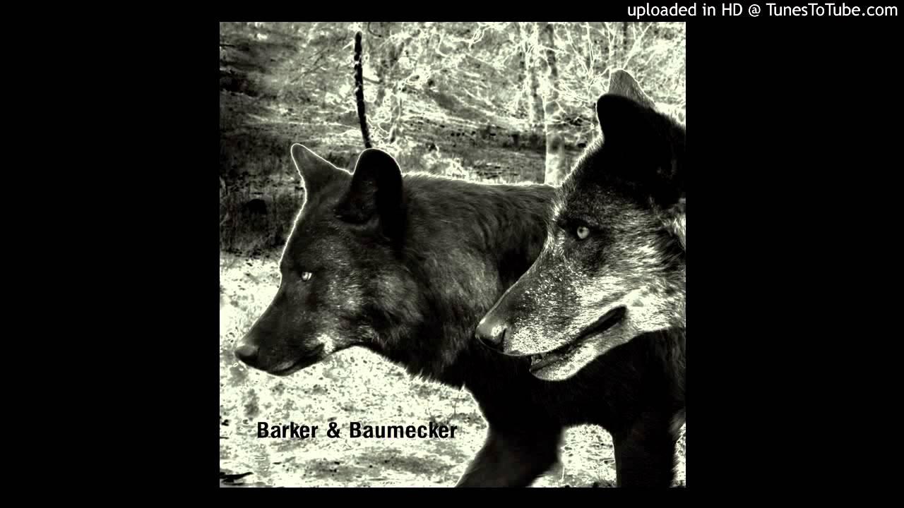 Transsektoral - Barker & Baumecker