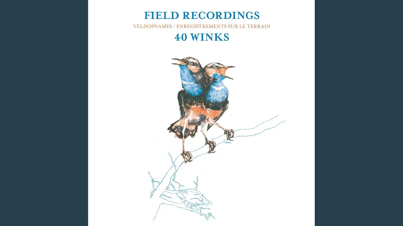 Field Recordings - 40 Winks
