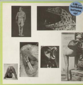 Bumbites - Assumptions  [New Wave/Lo-Fi, UK, 1984] - Bumbites