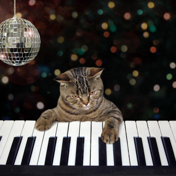 Piano Pu$$y - Brandon Manitoba