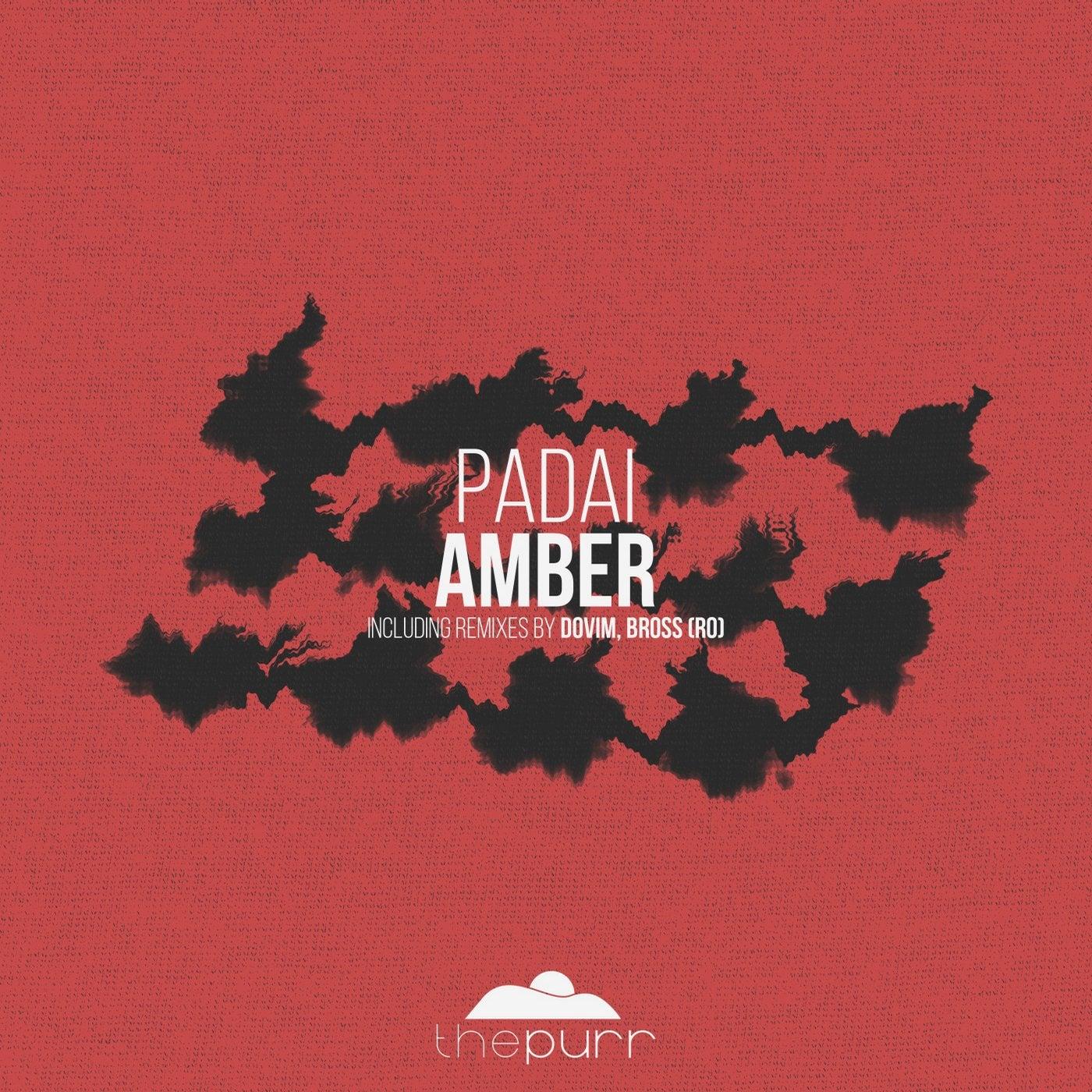 Amber - Padai