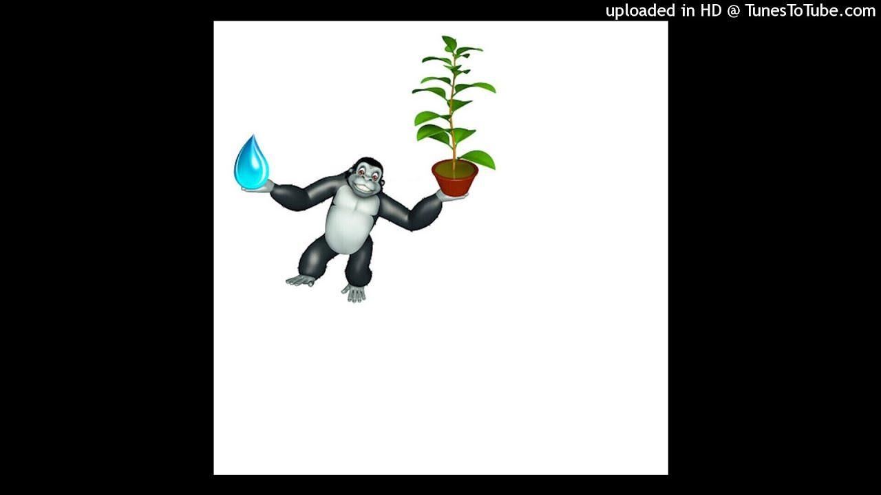  - Mister Water Wet / Monkey 20