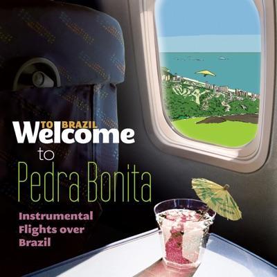 The Brazilian Funk Experience - Toninho Horta