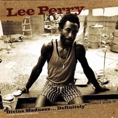 Divine Madness ... Definitely - Lee Perry, Reggie Antonie