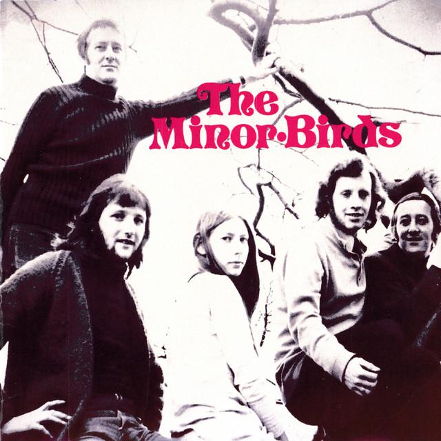 The Minor Birds - The Minor Birds