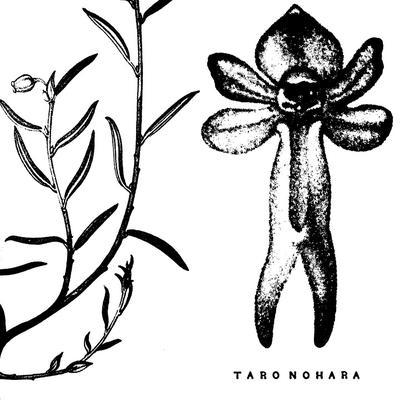  - Taro Nohara