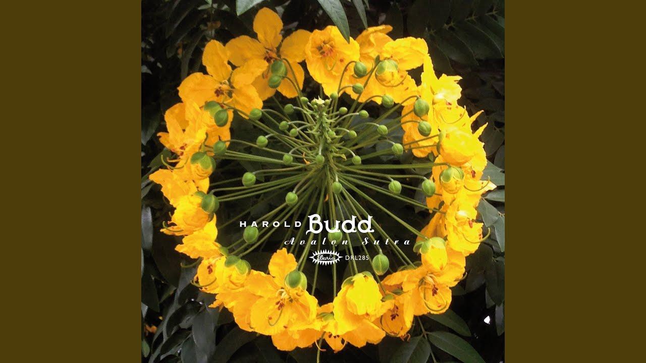 Avalon Sutra - Harold Budd