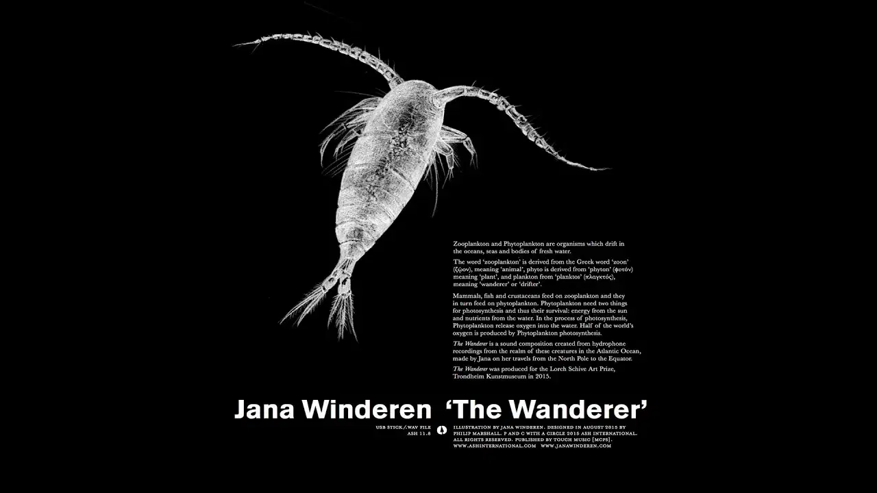The Wanderer - Jana Winderen
