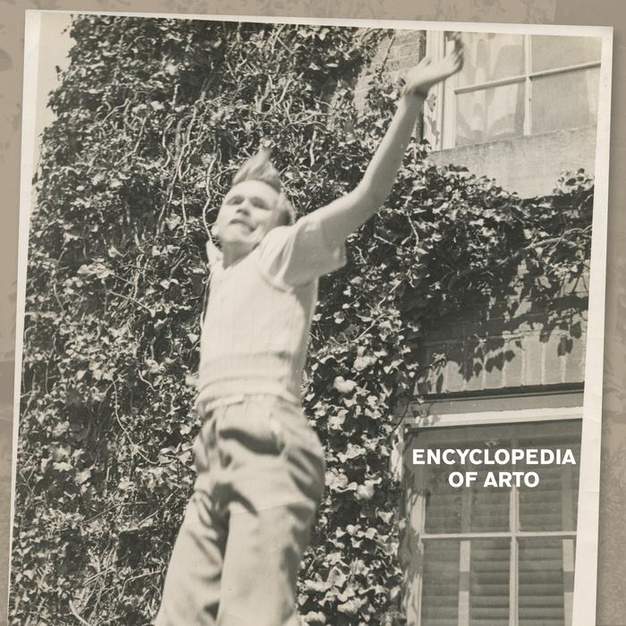 Why Compare - Arto Lindsay