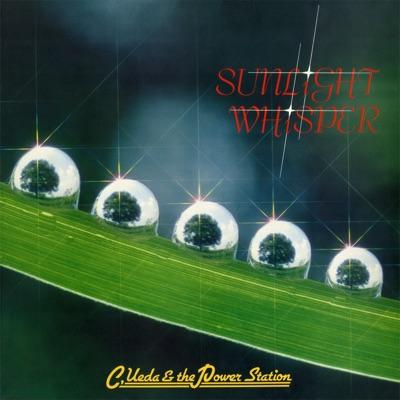 Sunlight Whisper - Chikara Ueda & The Power Station
