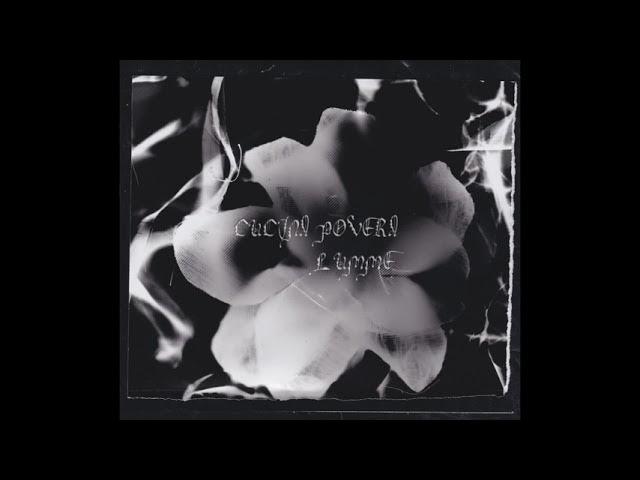 Therapy Flowers Compilation - Cucina Povera