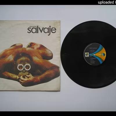  - Grupo Salvaje