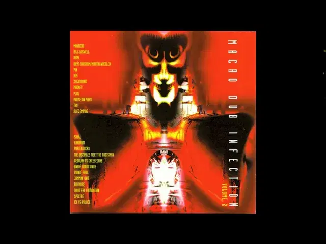 Macro Dub Infection Volume Two - Rhys Chatham & Martin Wheeler