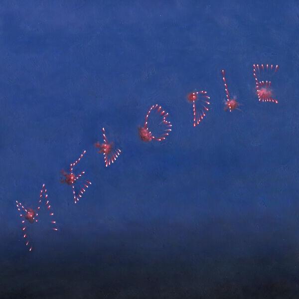 Melodie - Slow Pulp