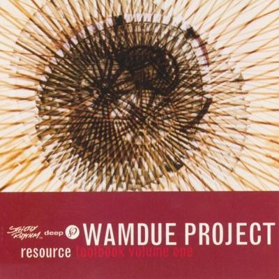  - Wamdue Project