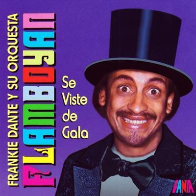 Álbum desconocido (16/02/2025 11:42:22) - Frankie Dante