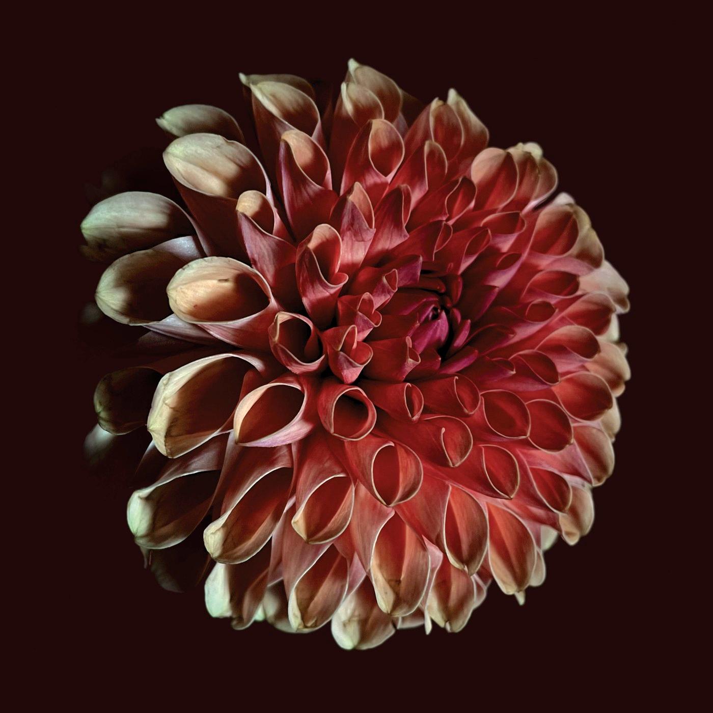 Unfolding - Jessica Moss