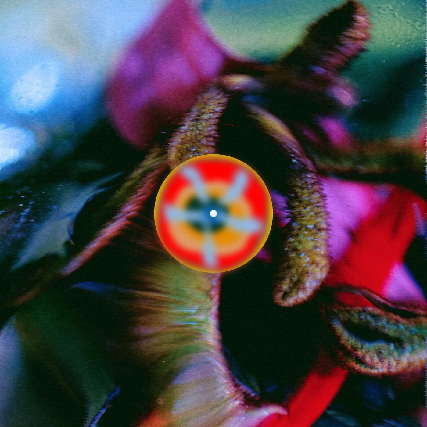 B Alo - Cousin, Mia Koden