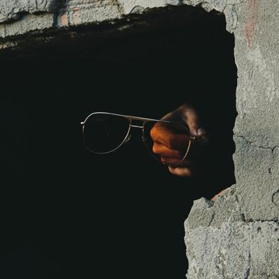 Artificial Ignorance EP (feat. Stansee) - The Liquid Dude