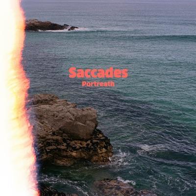  - Saccades