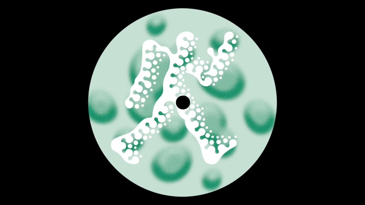 9FINITY005 - Milès Borghese