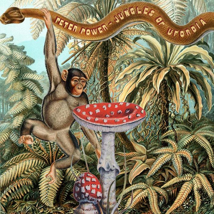 Jungles of Ufordia - Peter Power