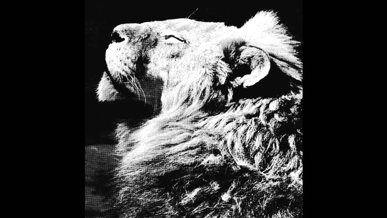 El Portal EP - Anthony Naples
