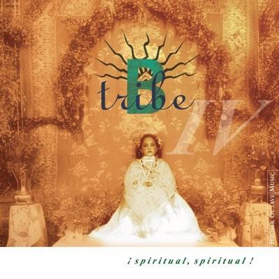 Spiritual Spiritual - B-Tribe