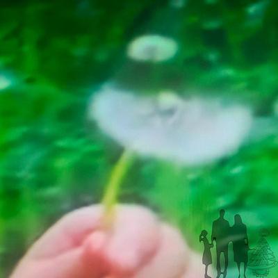Structures with wishes - heartsoft