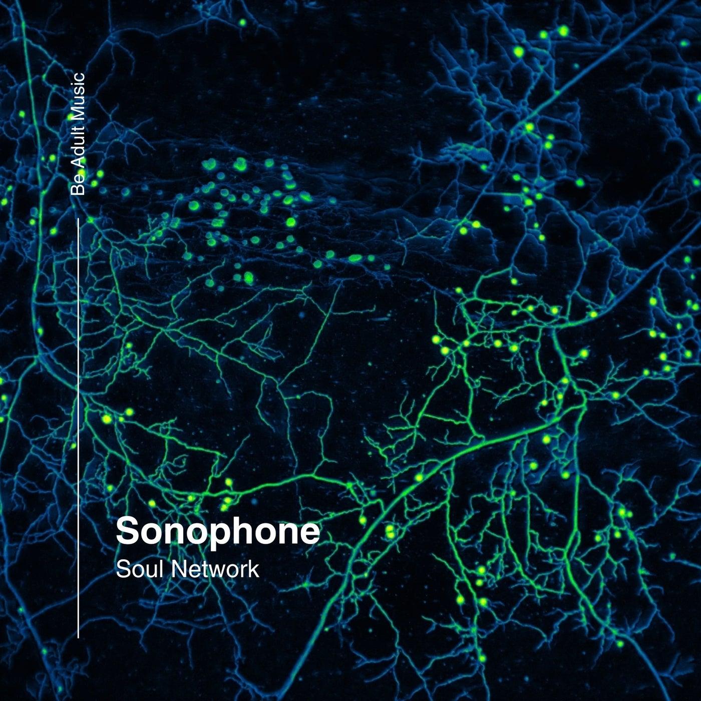 Soul Network - Sonophone, Dojantino