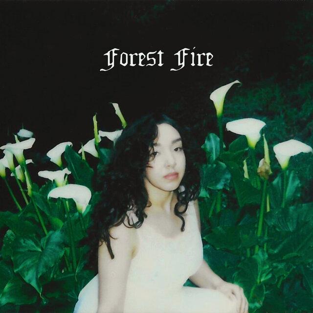 Forest Fire - Angela Muñoz