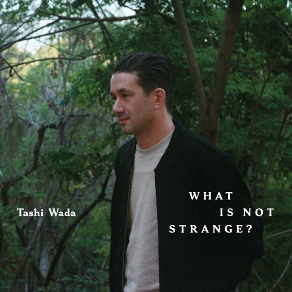 What Is Not Strange? - Tashi Wada