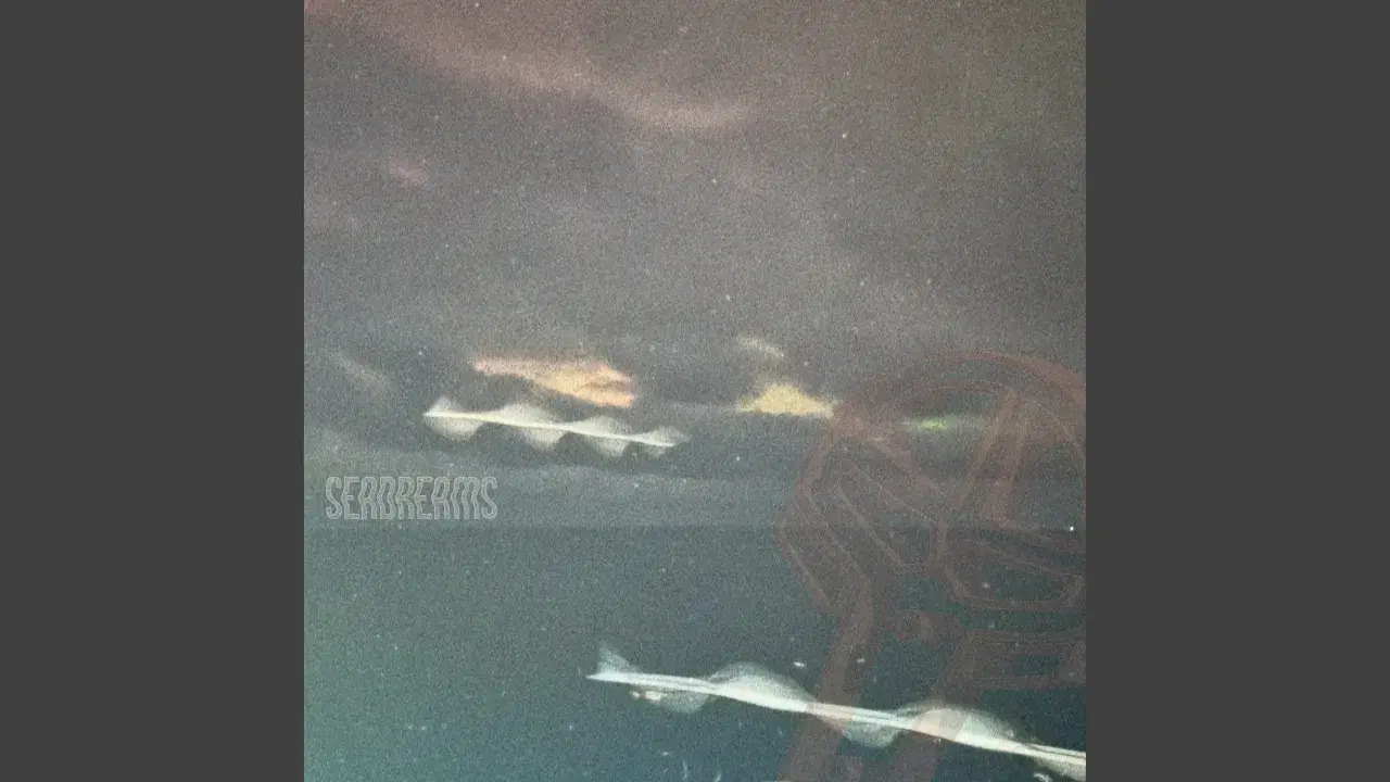  - Seadreams