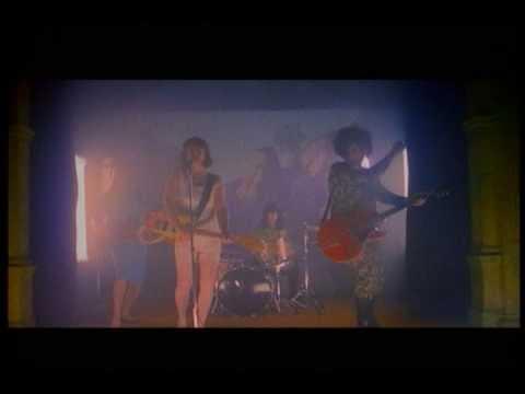 Bedbugs - The Odds