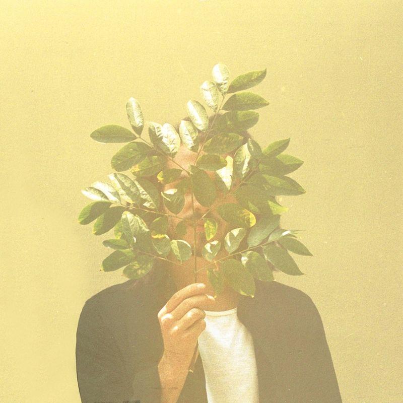 French Kiwi Juice - FKJ