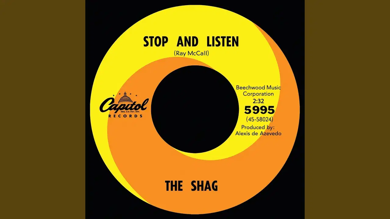 Stop And Listen - The Shag