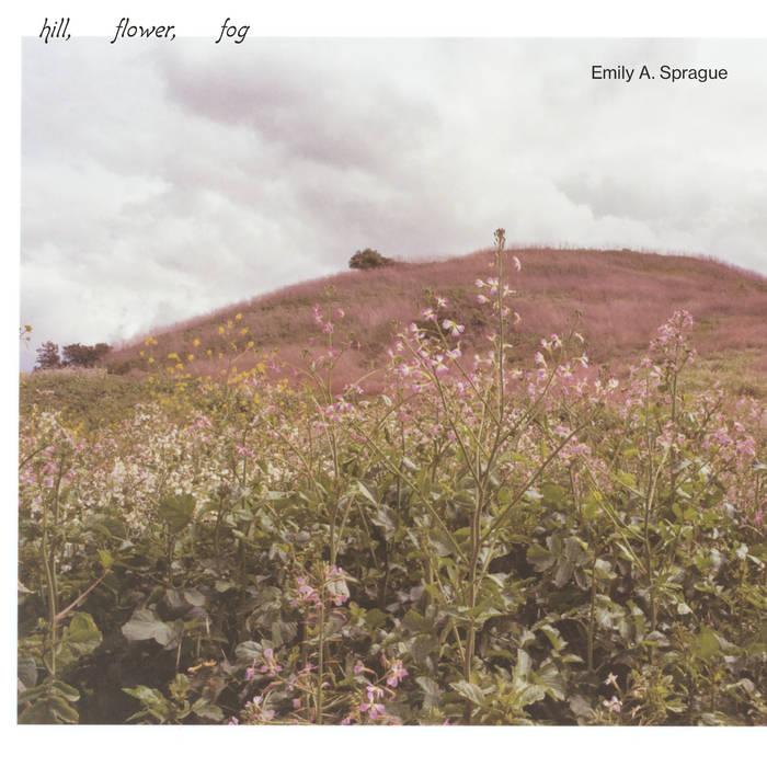  - Emily S. Prague